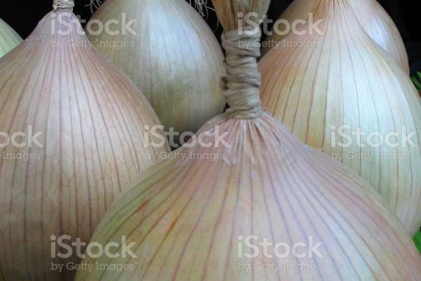 Https megaruzxpnew4af onion tor com